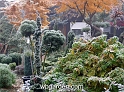 wbgarden autumn 32